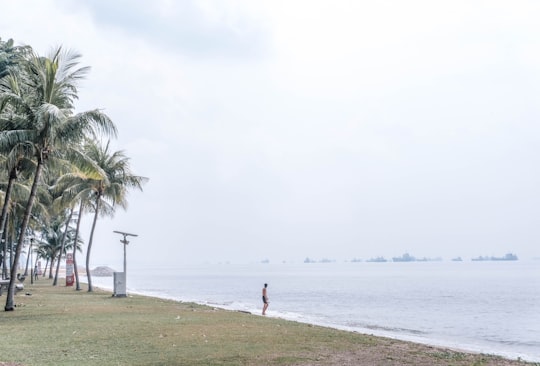 people on beach during daytime in East Coast Parkway Singapore
