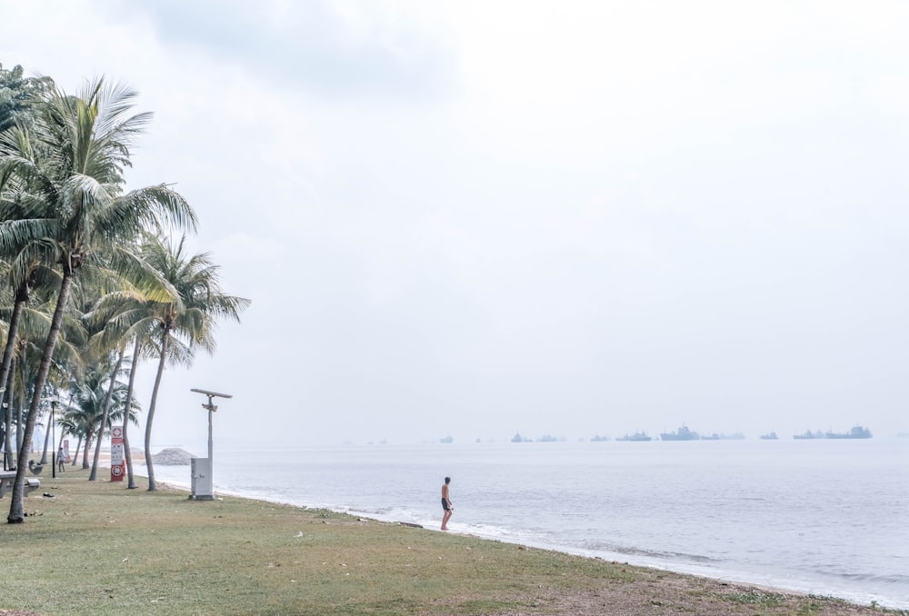 Gente en la playa durante el día