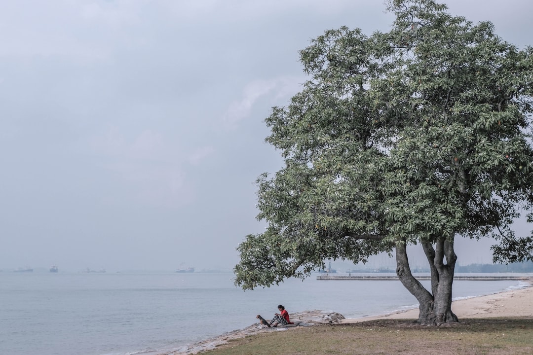 Shore photo spot East Coast Park Service Road East Coast Park