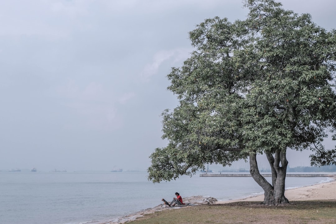 travelers stories about Shore in East Coast Park Service Road, Singapore