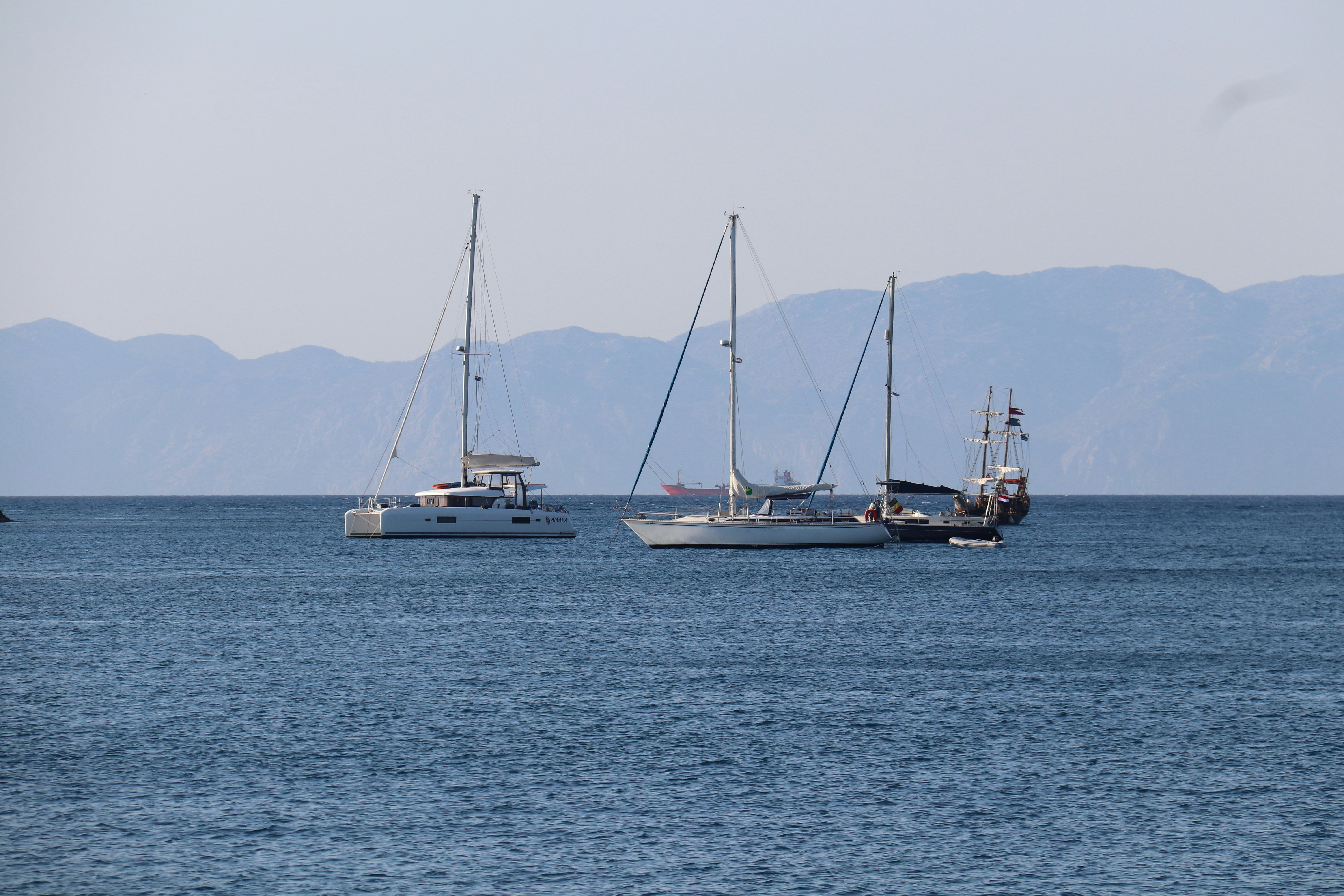 Photo by shalevcohen