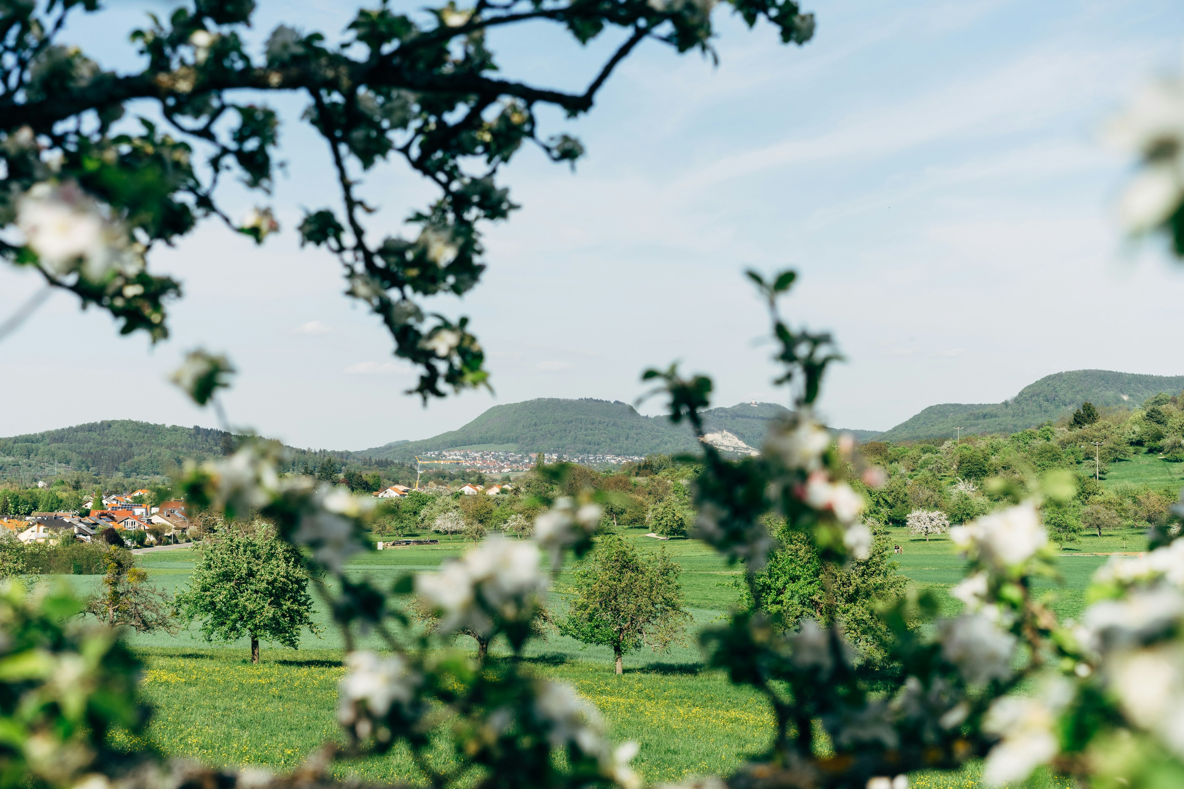 Photo by markuswinkler