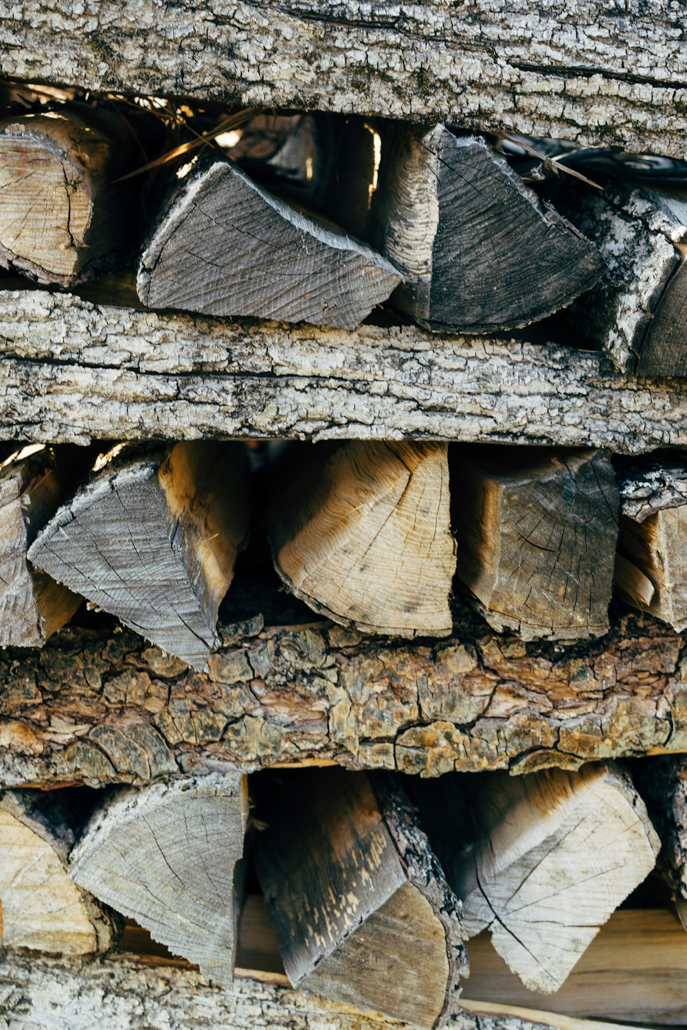 brown and gray wood logs