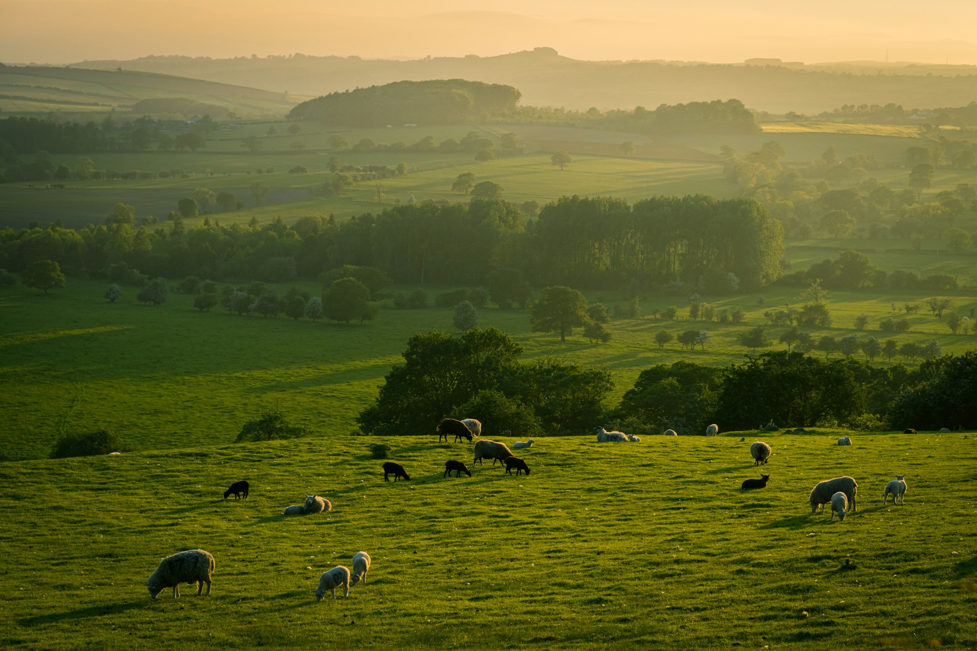 Spring evening in Yorkshire.