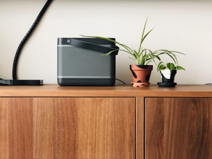 black and gray speaker beside green potted plant on brown wooden table