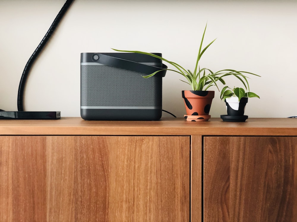 black and gray speaker beside green potted plant on brown wooden table