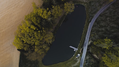 An aerial view reveals a small pond surrounded by lush green trees on one side and a dirt road on the other. The calm, dark water contrasts with the bright colors of the surrounding forest and fields. A narrow dock extends into the pond, with a small bench nearby.