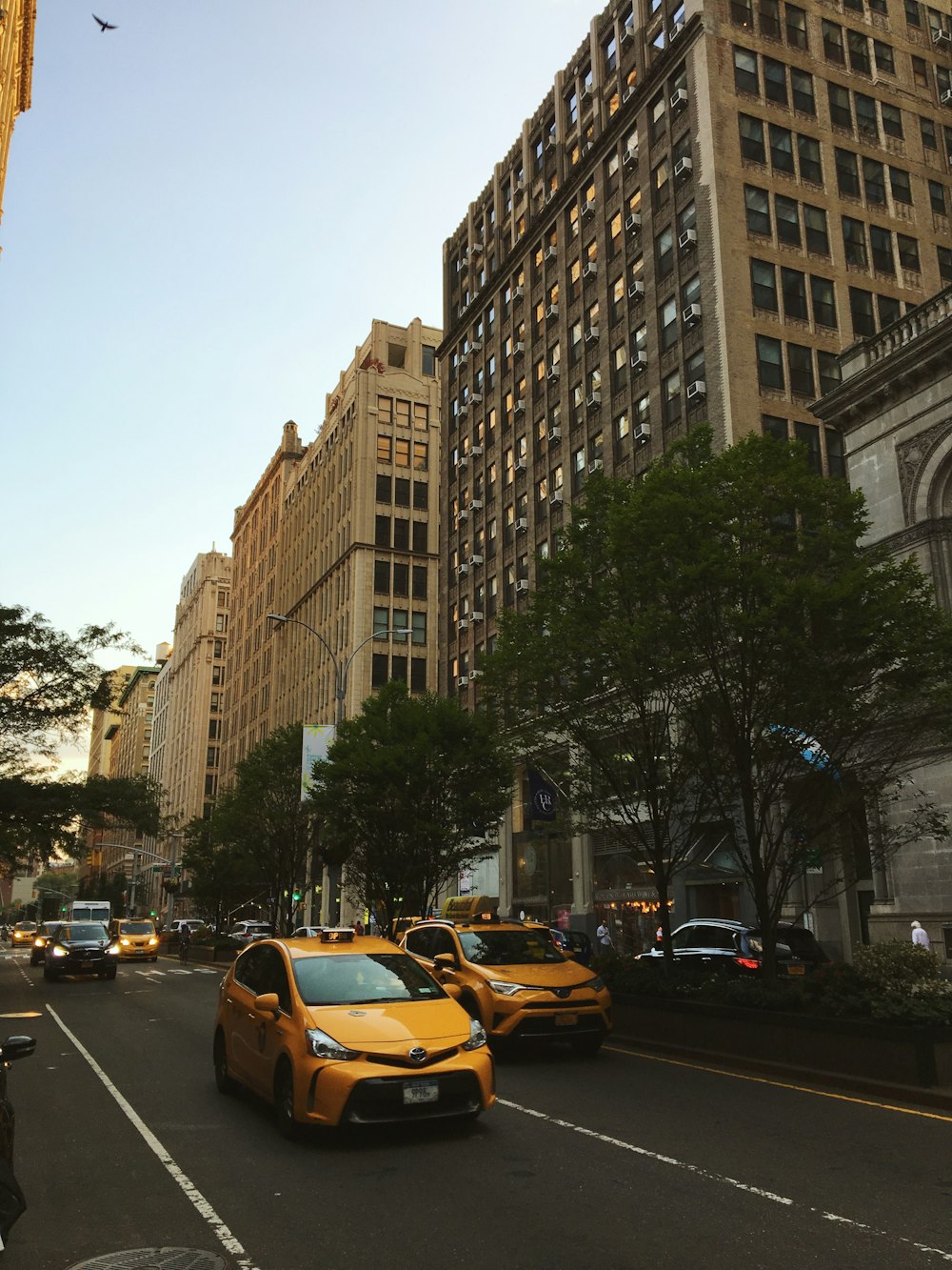 cars on road near high rise buildings during daytime