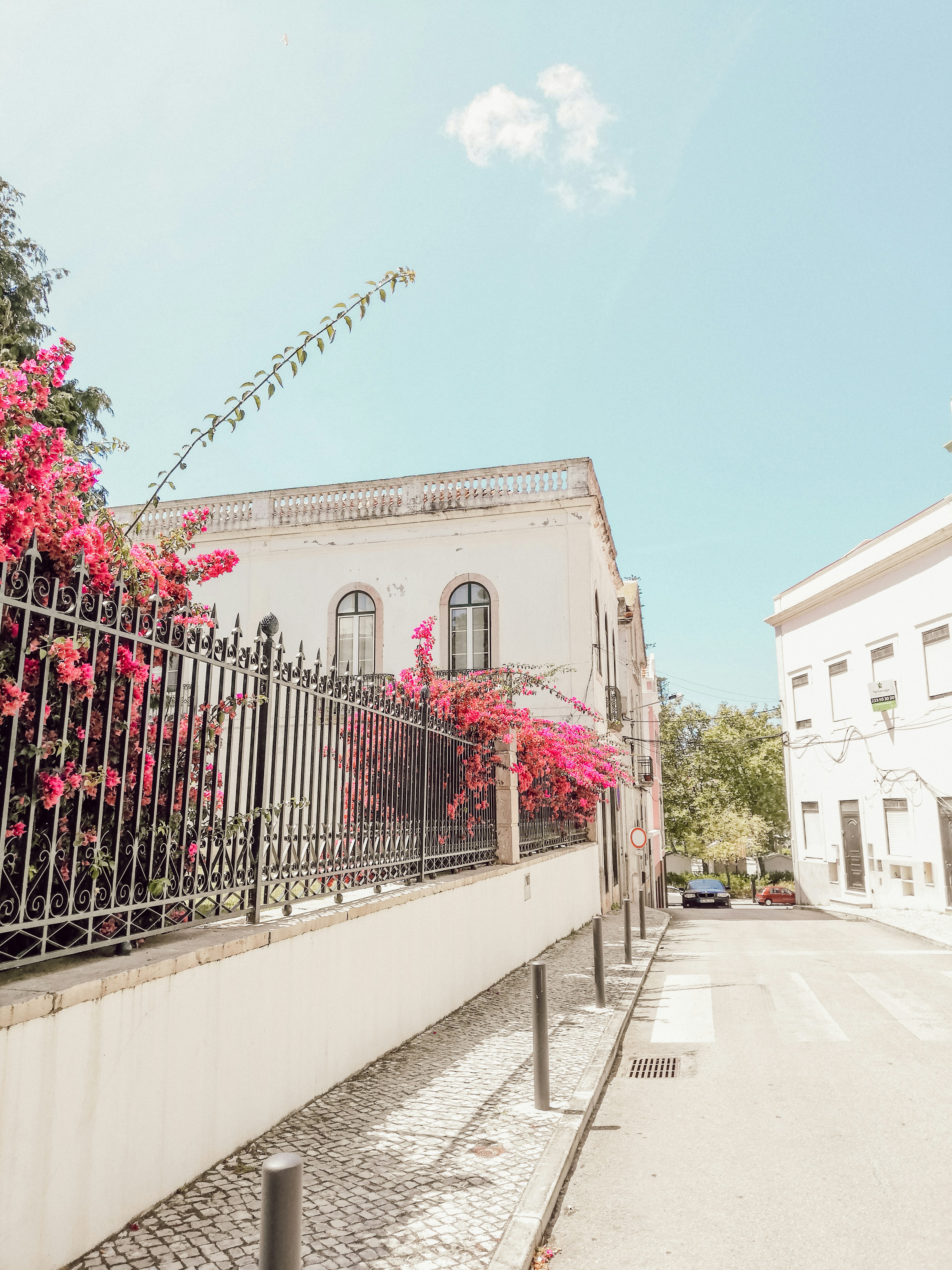 Photo by marianarascao