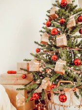 red round fruit on white plastic container