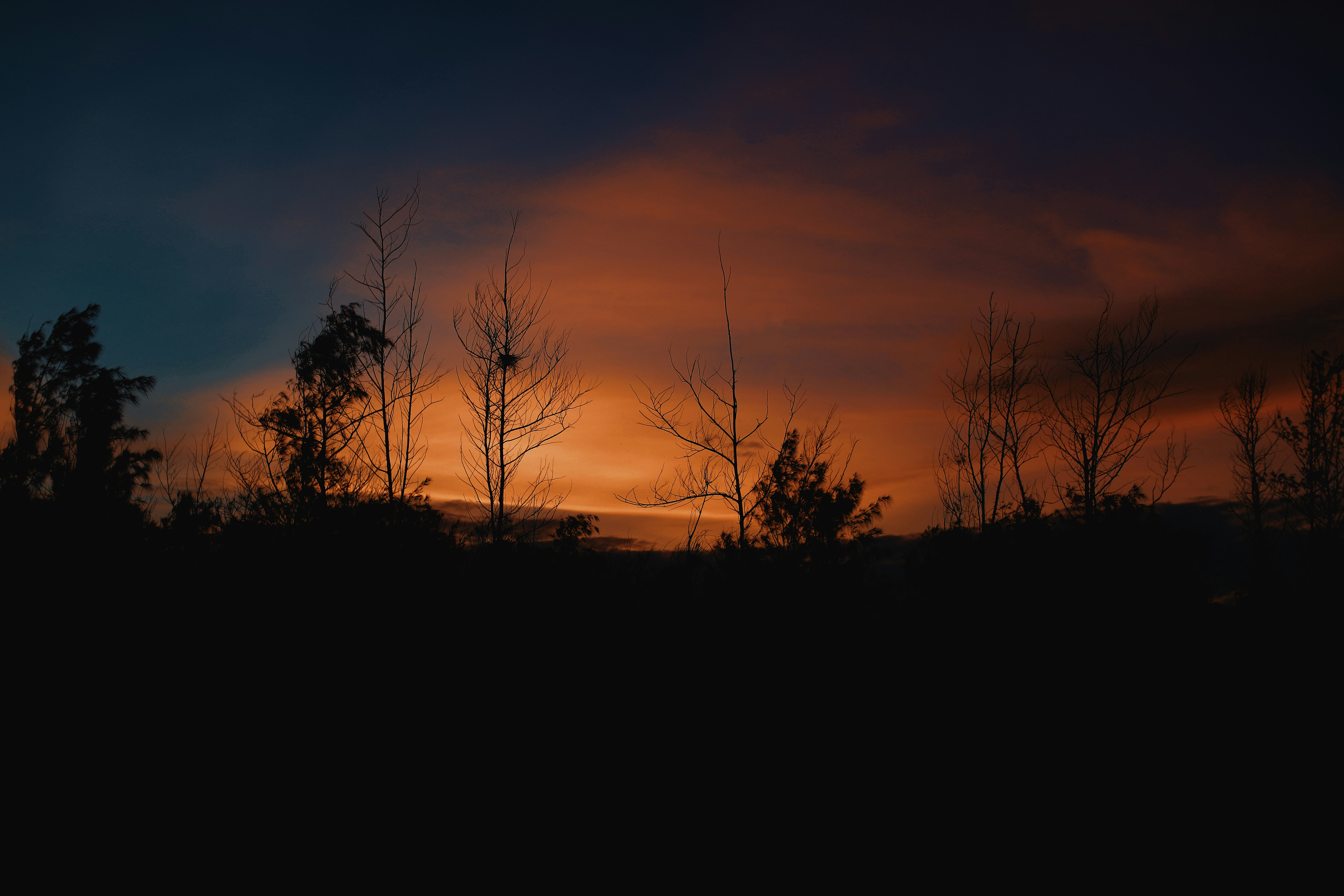 Photo by arunkumarselvam