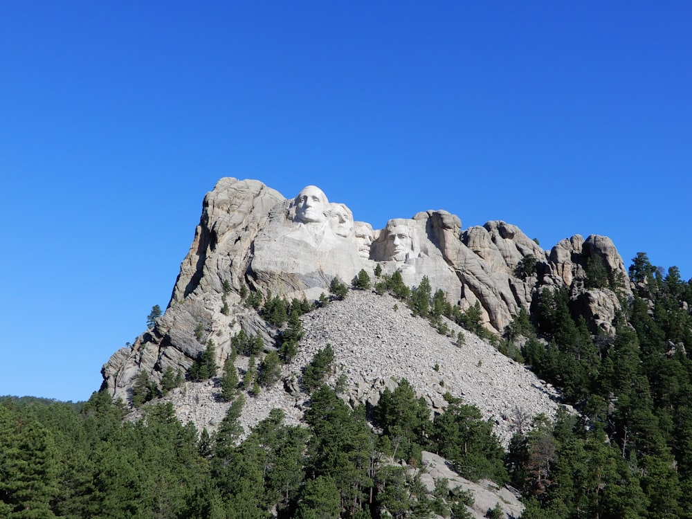 árvores verdes perto da montanha cinza sob o céu azul durante o dia