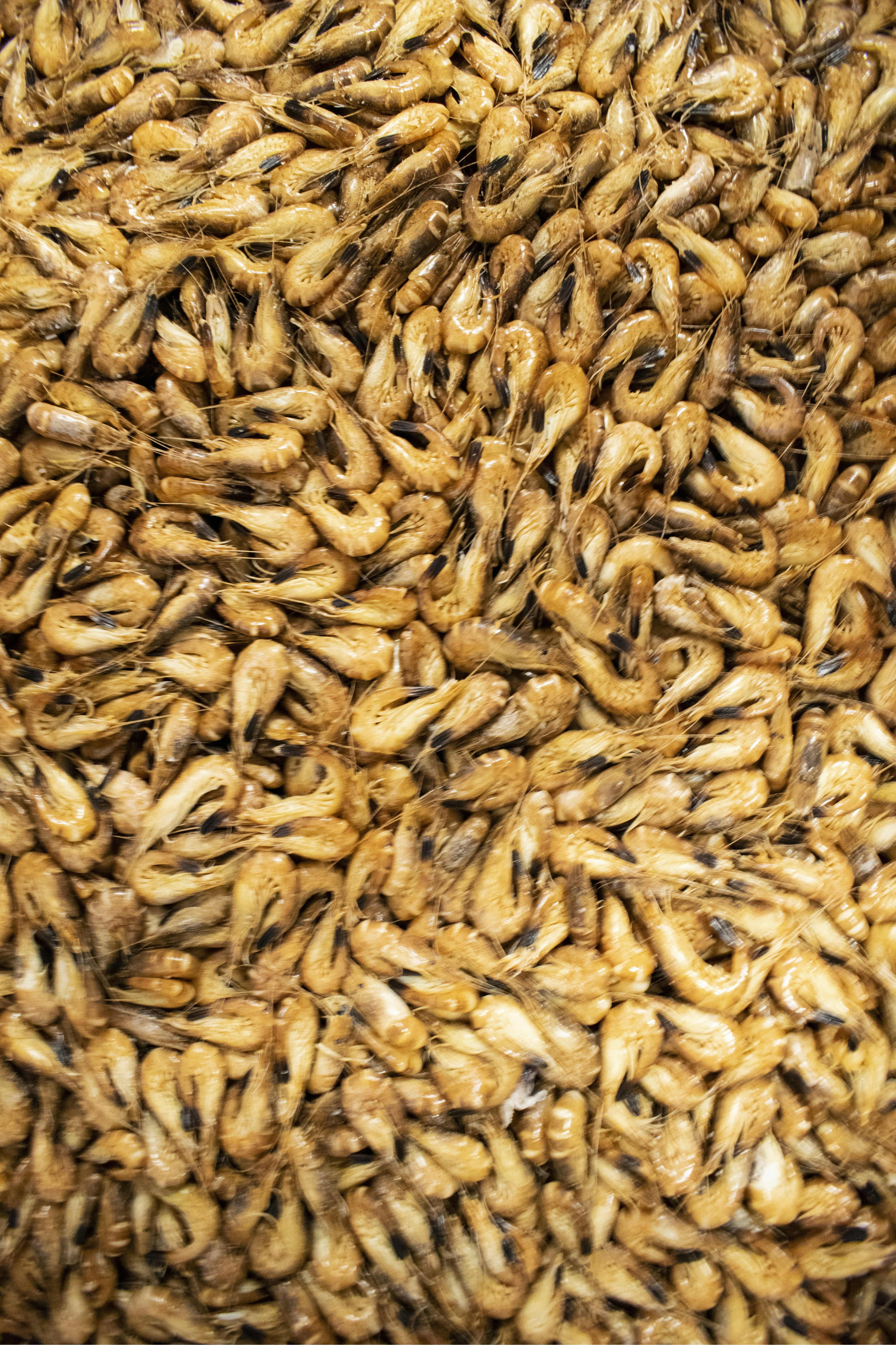 Photo by pauleinerhand