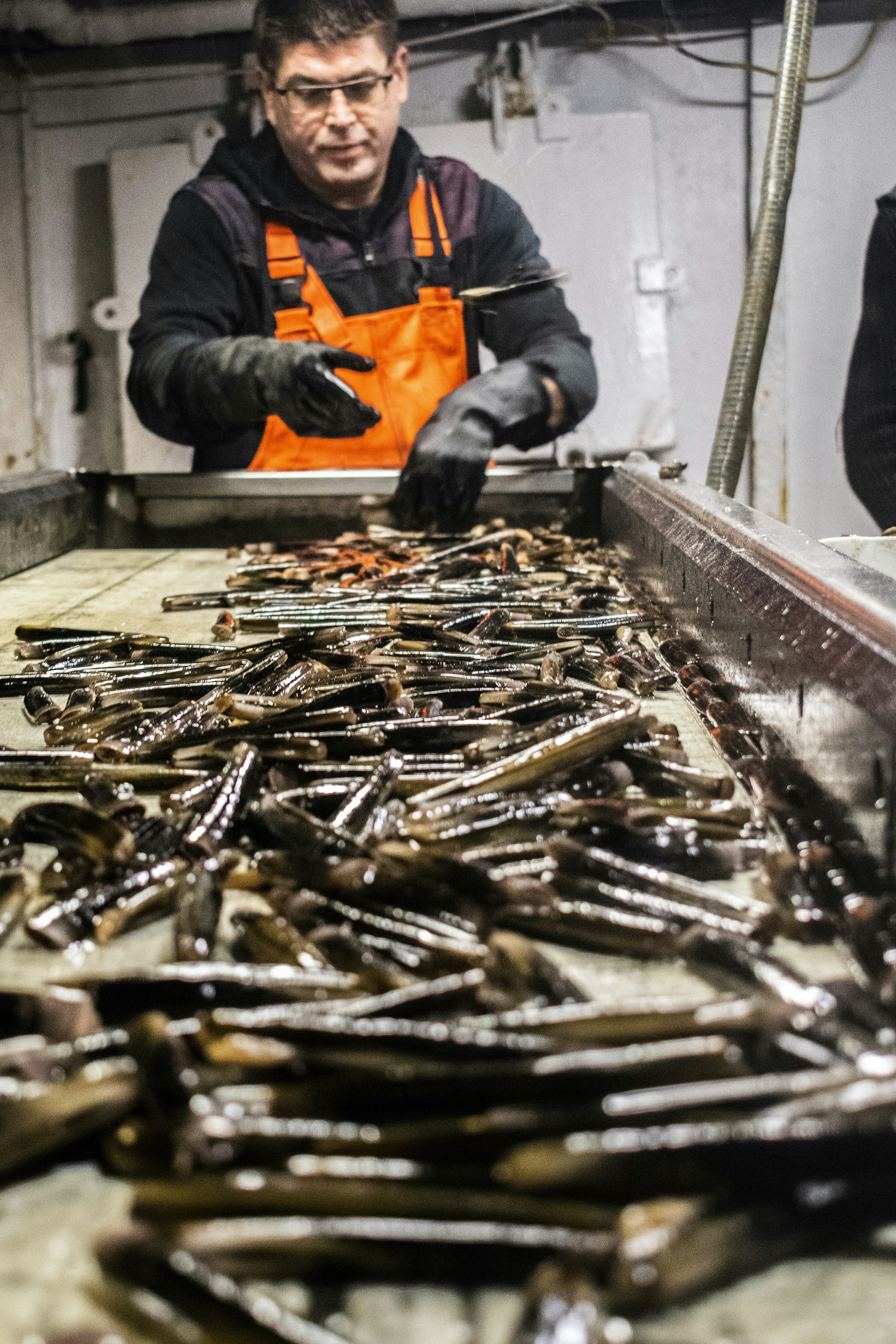person in black jacket holding black and orange hand tool