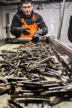 A person wearing an orange safety vest and black gloves is sorting and handling a large number of razor clams on a metal processing table in an industrial setting.