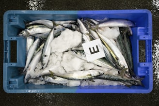 A blue plastic crate filled with fish, mostly mackerel, resting on a bed of ice. A card with the letter 'E' is placed on top of the fish. The background shows a wet, textured surface.