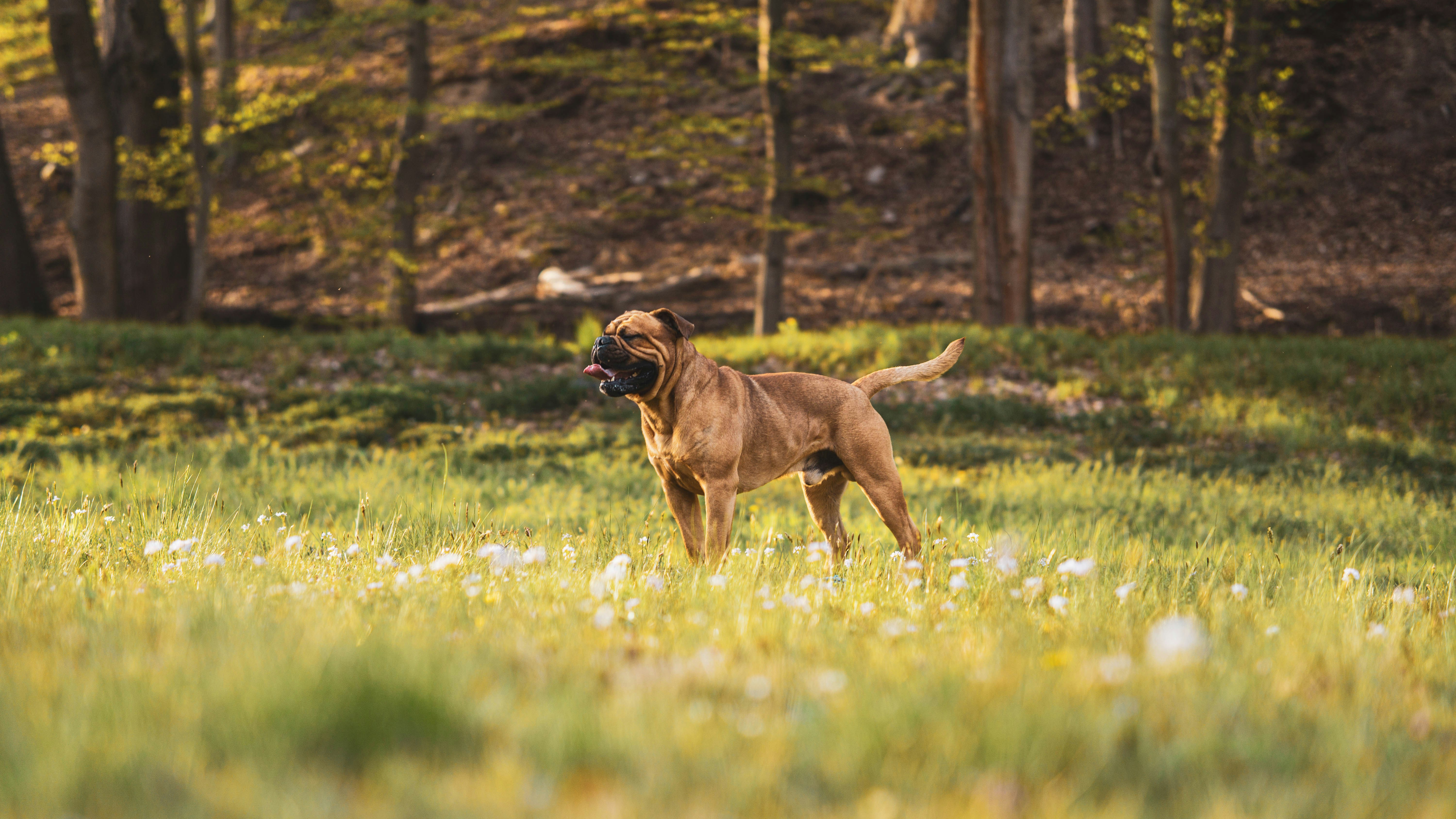 Photo by annadudkova