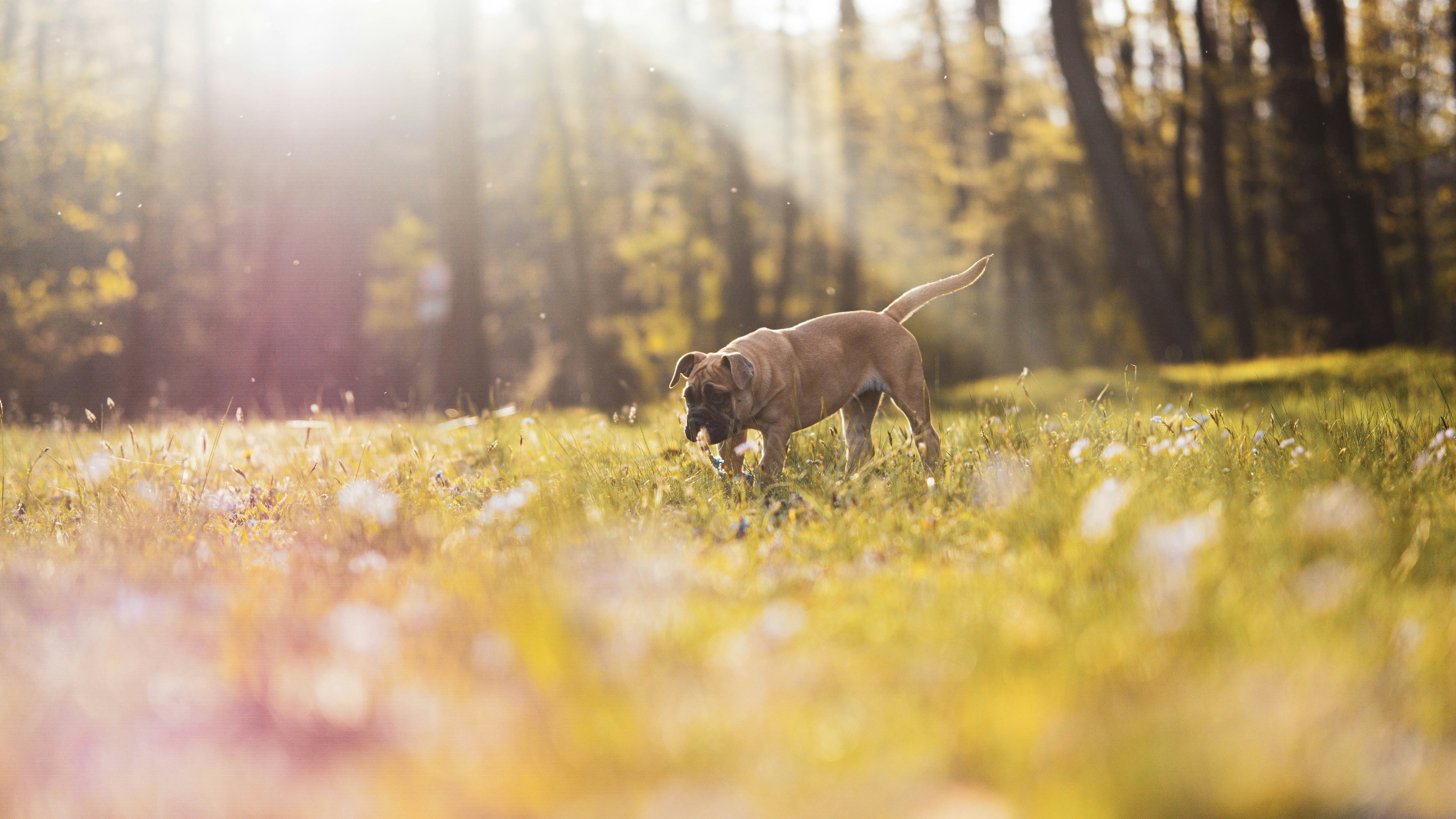 Photo by annadudkova