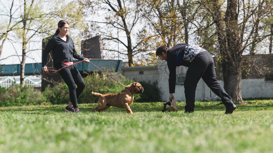 woman in gray long sleeve shirt and black pants holding brown short coated dog