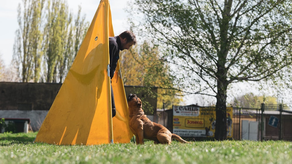 man in black jacket and brown short coated dog lying on yellow tent during daytime