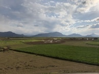 A serene landscape showcasing agricultural fields in Latin America.