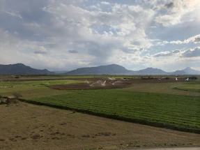 A serene farm landscape at sunrise with modern irrigation systems in view.