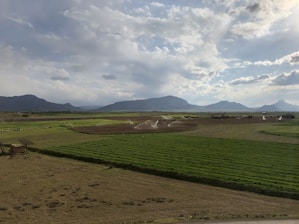 Dynamic image showing vibrant agricultural fields under a moving sky to represent agricultural services.