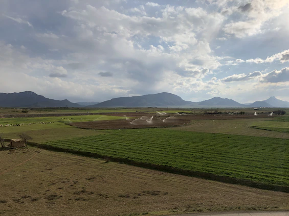 A panoramic drone shot capturing vast green farmland with tractors working under a clear blue sky in Entre Ríos.