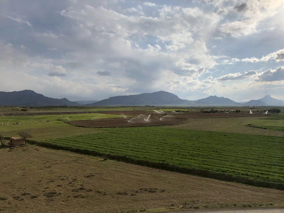 Wide shot of a peaceful agricultural landscape with natural earth tones and green crops.