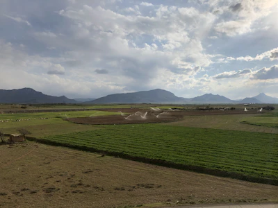 A vibrant rural landscape showing modern agricultural fields with tractors and irrigation systems under a clear sky.