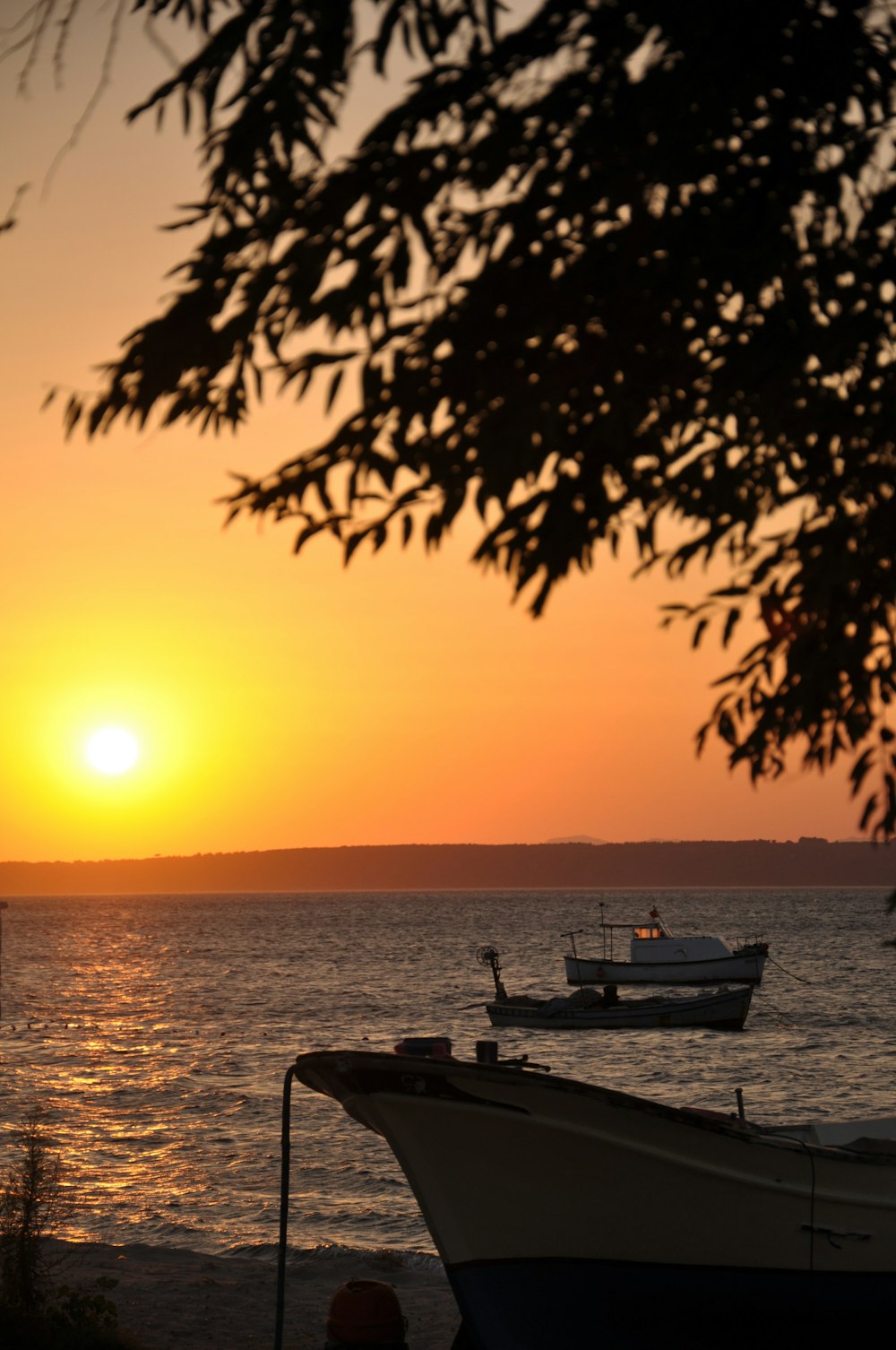 silhouette of person riding on boat during sunset