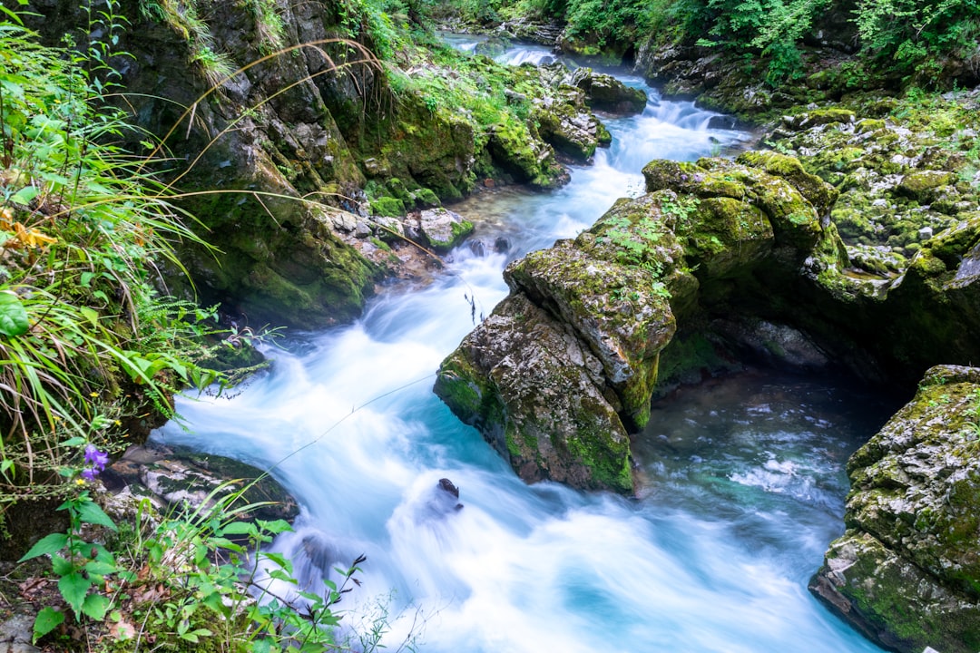 Waterfall photo spot Bled Gorje