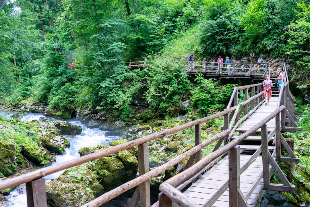 Natural landscape photo spot Bled Kranjska Gora