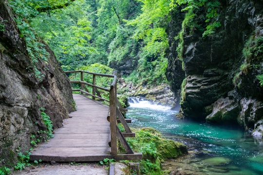 brown wooden bridge over river in Vintgar Gorge Slovenia