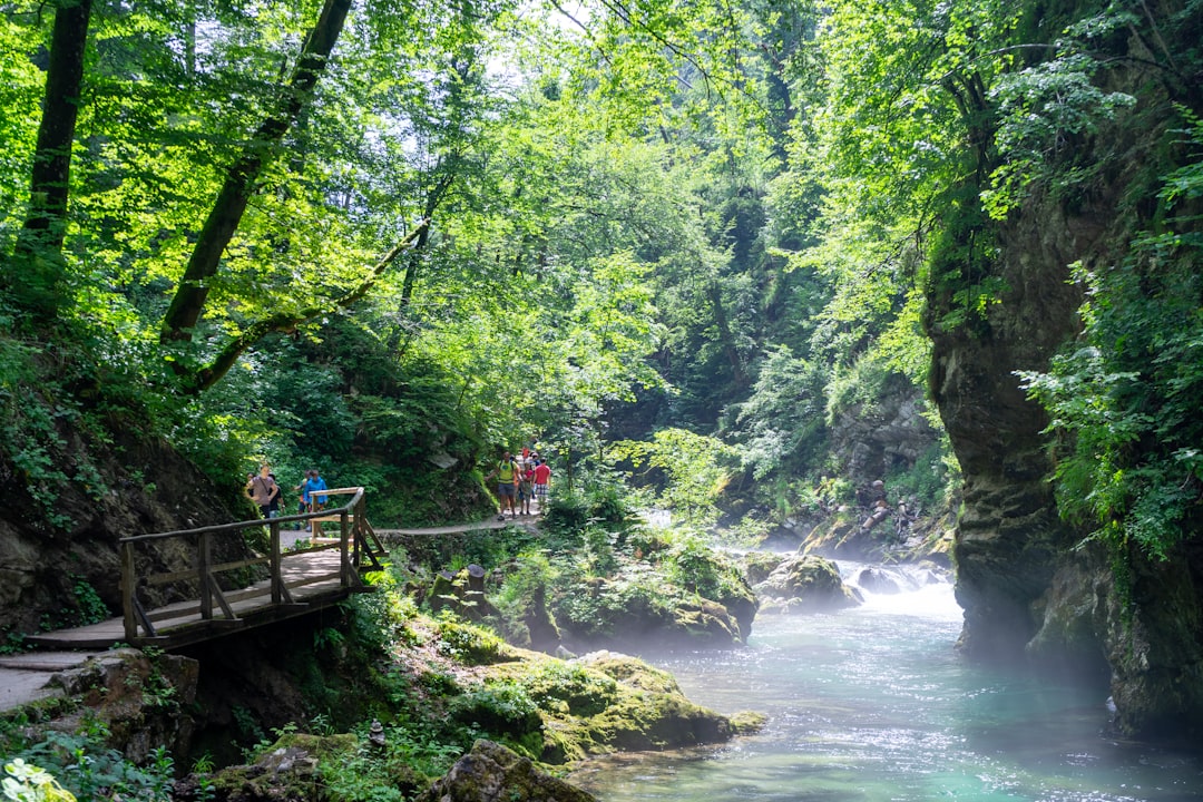 Ecoregion photo spot Bled Bovec