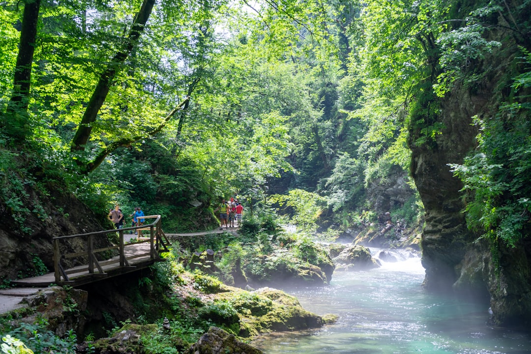 Ecoregion photo spot Bled Rogla