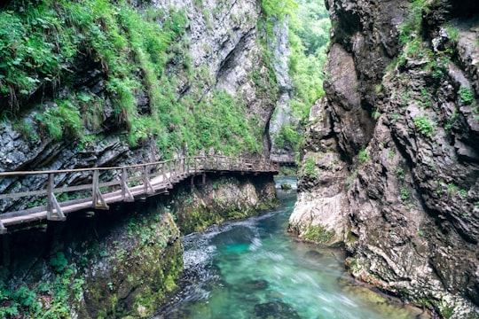 brown wooden bridge on river between rocky mountains during daytime in Triglav National Park Slovenia