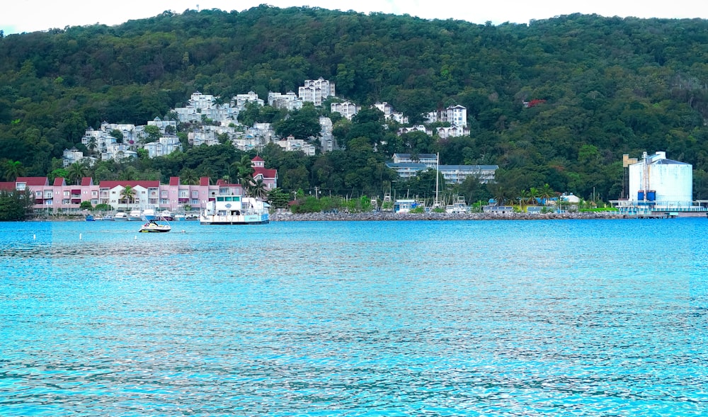 body of water near green trees during daytime