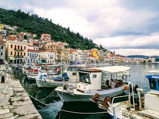 A vibrant coastal community engaged in sustainable fishing practices.