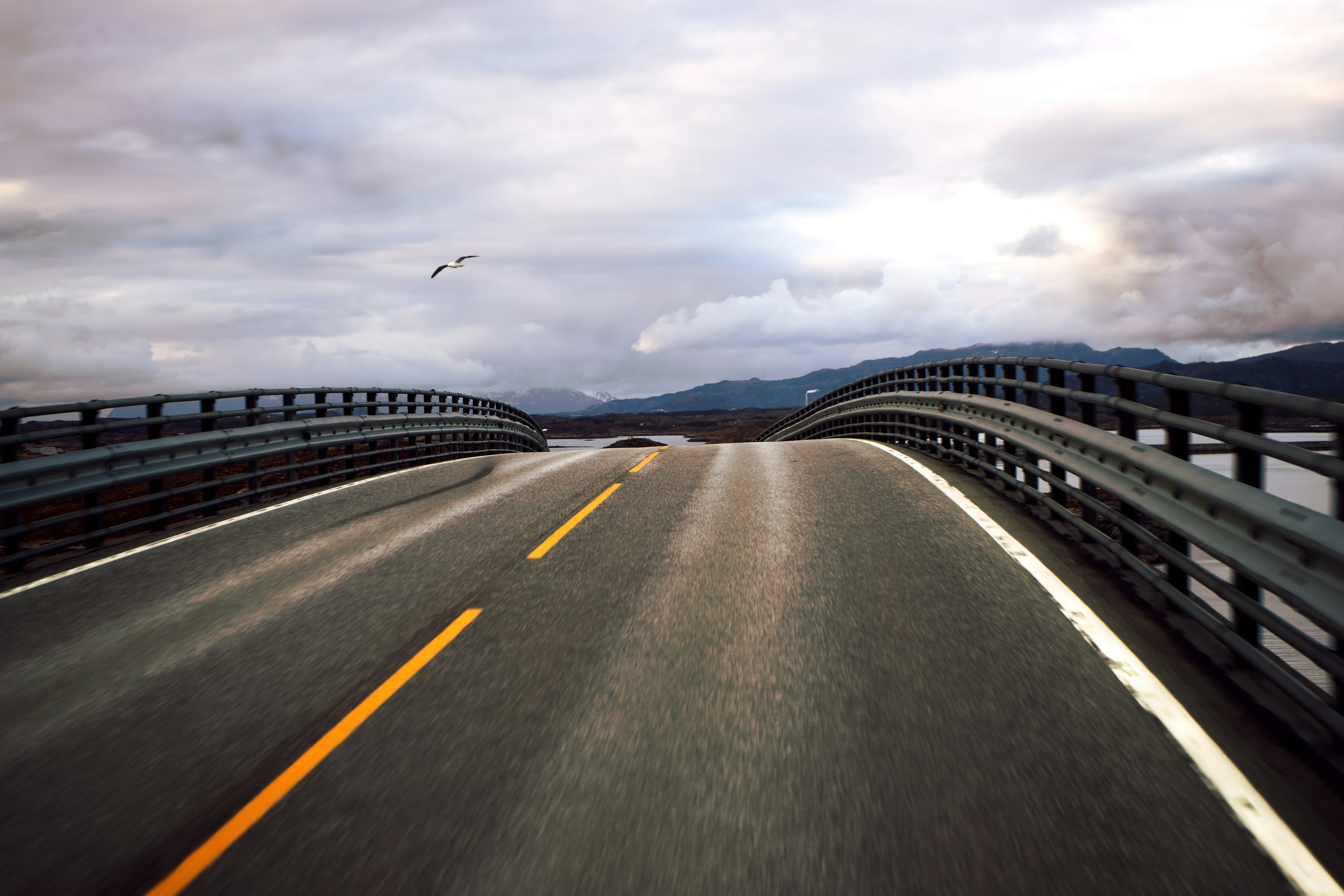 Photo by swimstaralex