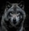 black and brown wolf painting