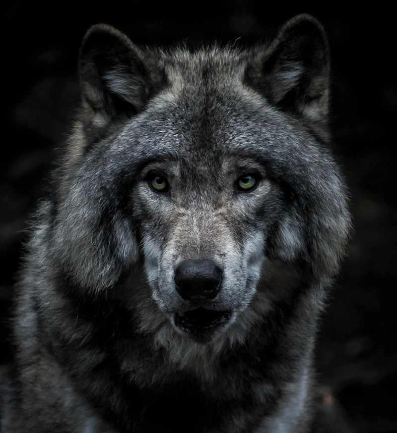 Wildlife Sanctuary