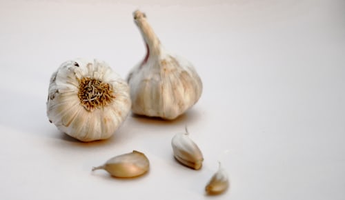 herbal supplement - garlic