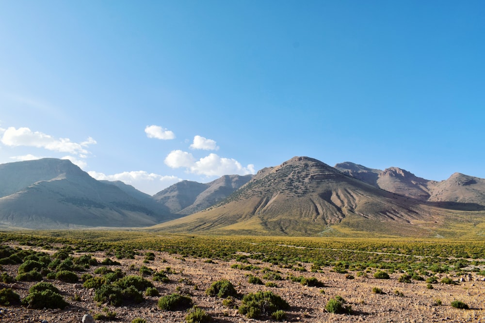 green grass field near mountain under blue sky during daytime