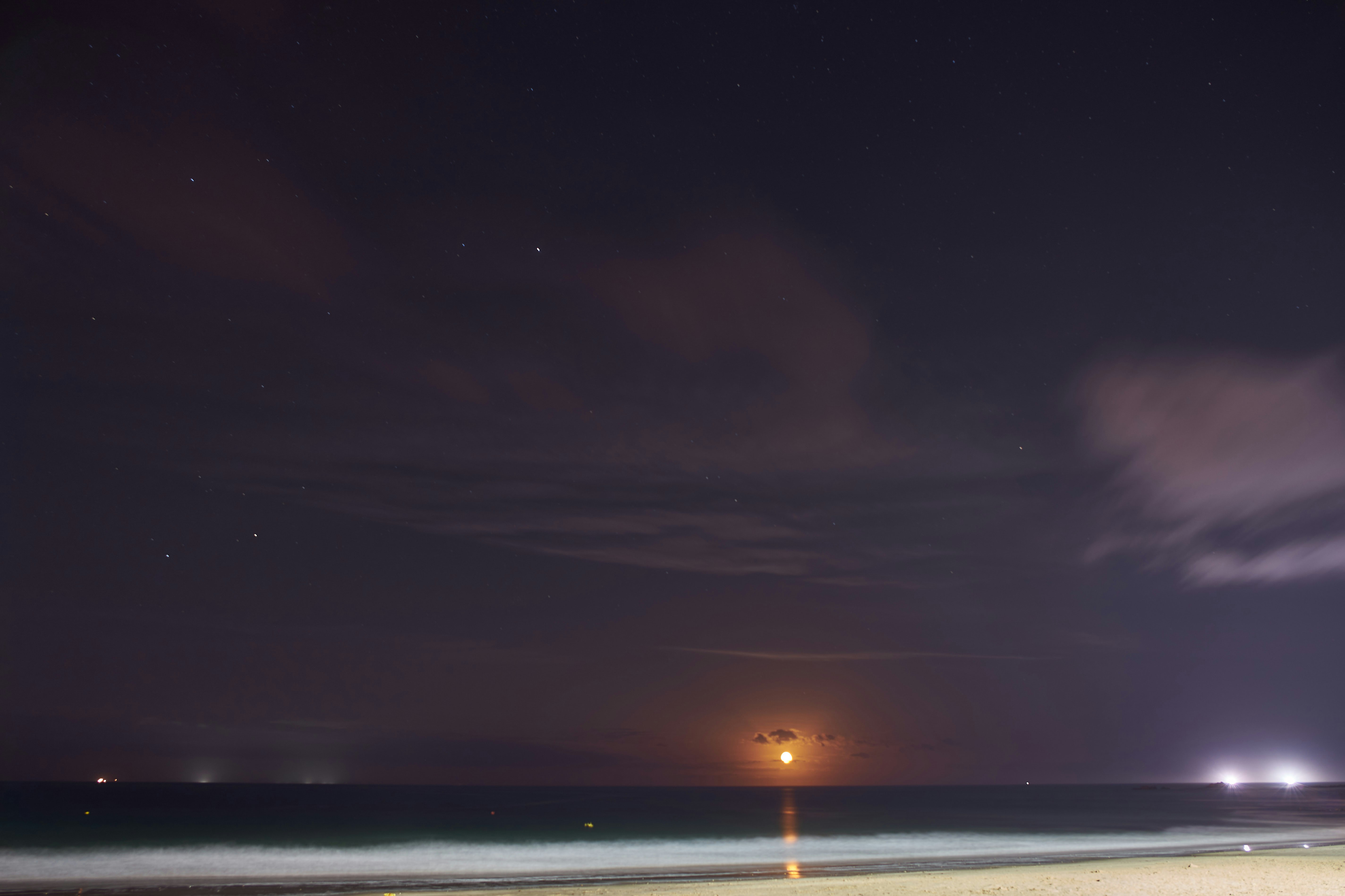 Photo by wolfgang_hasselmann