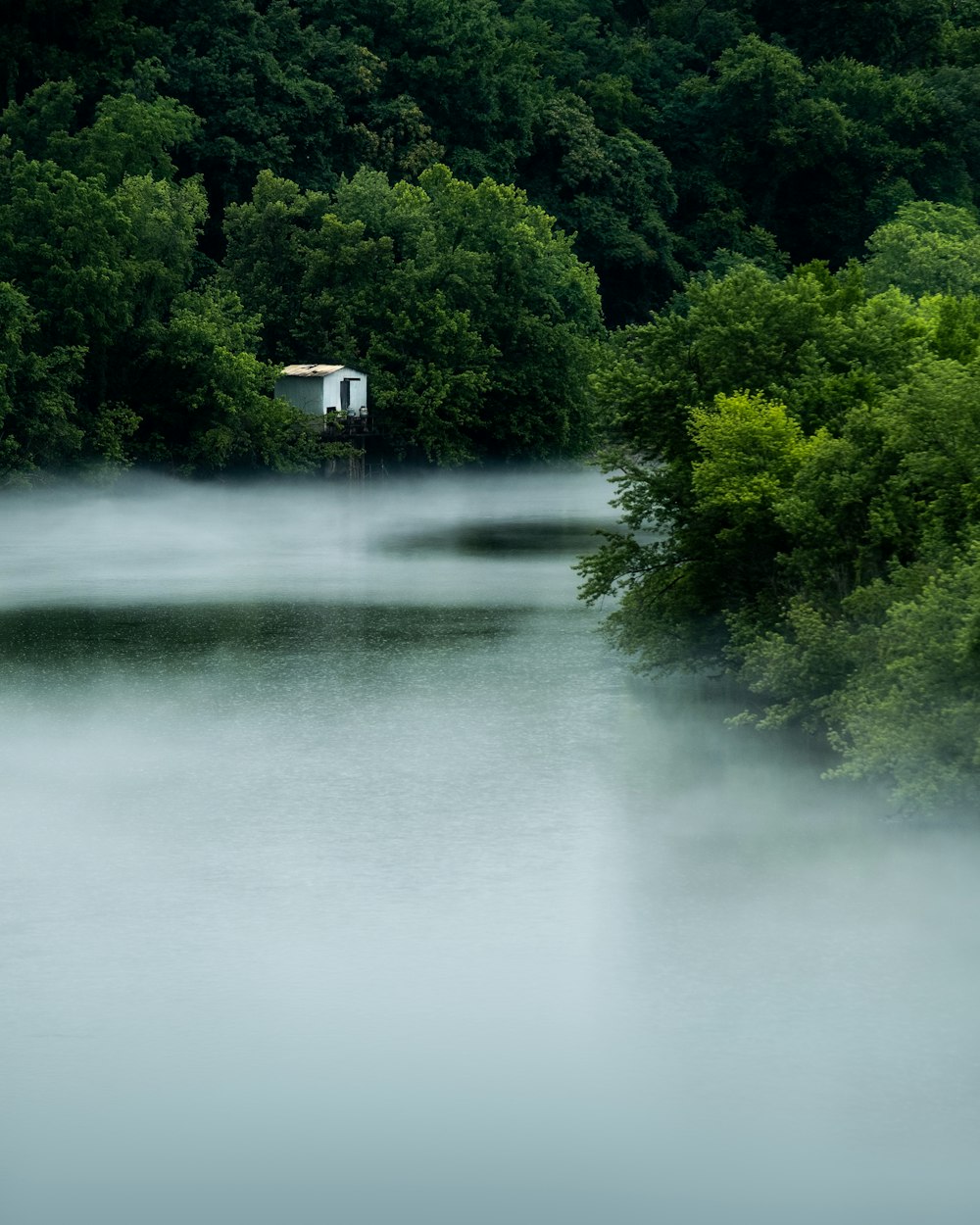 white and black house near green trees and river during daytime