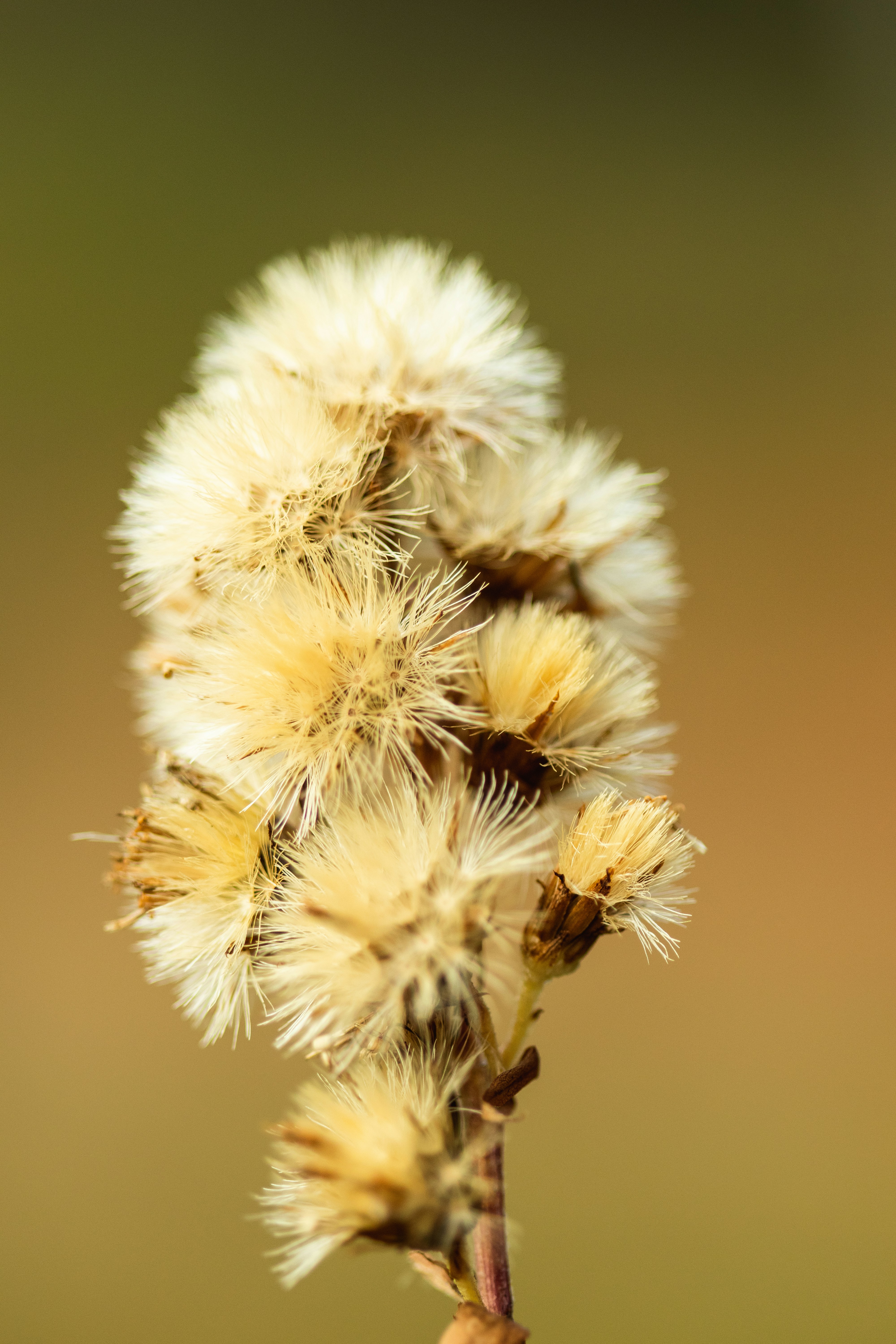 Photo by kevinnikolais