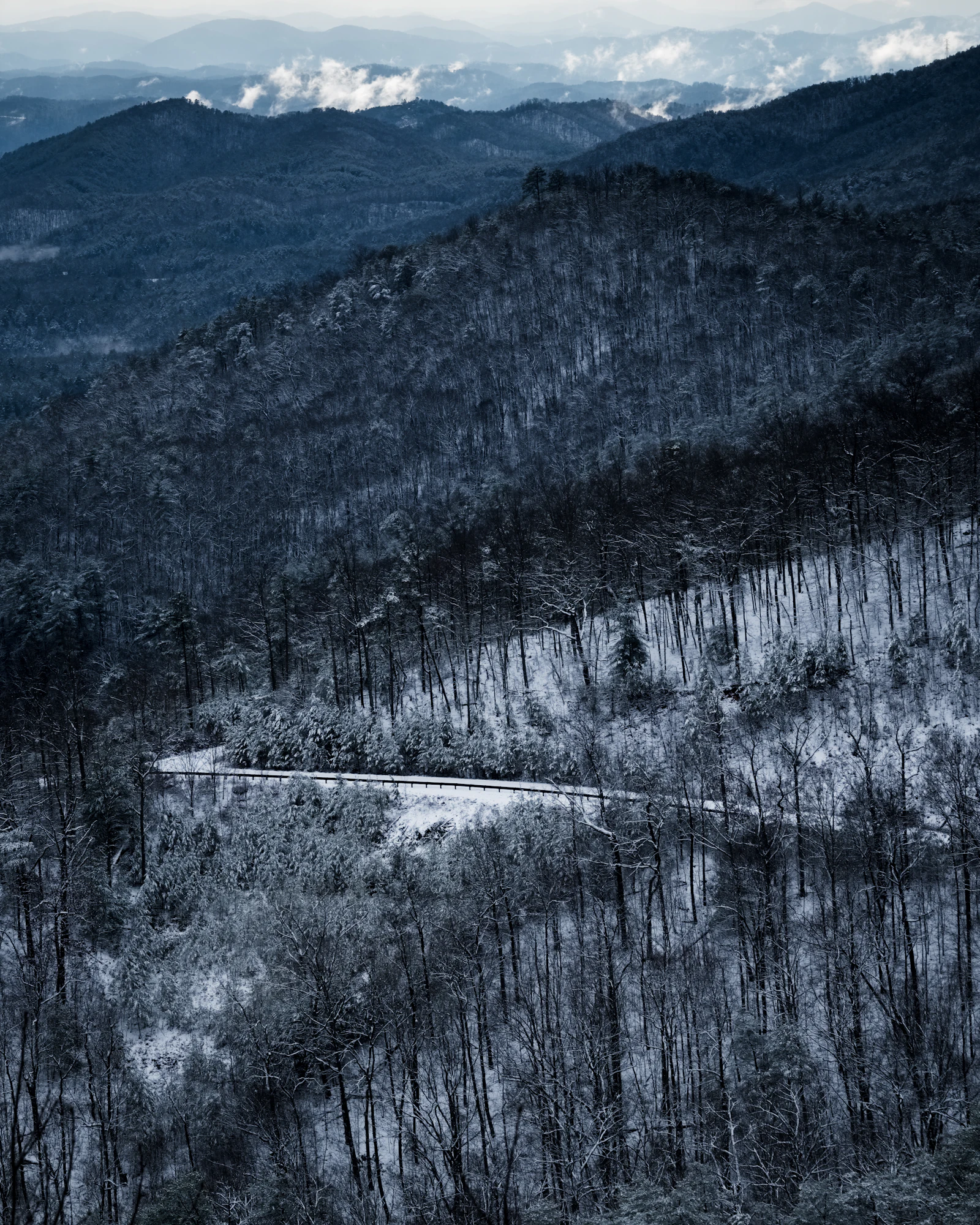 Forested mountain slopes.
