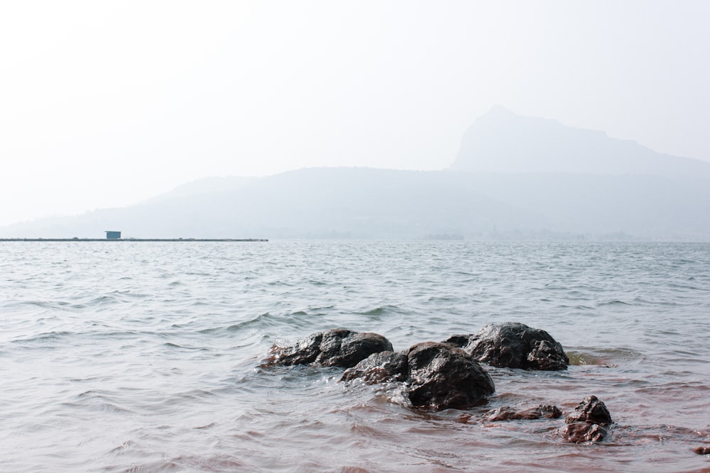 black rocks on sea during daytime