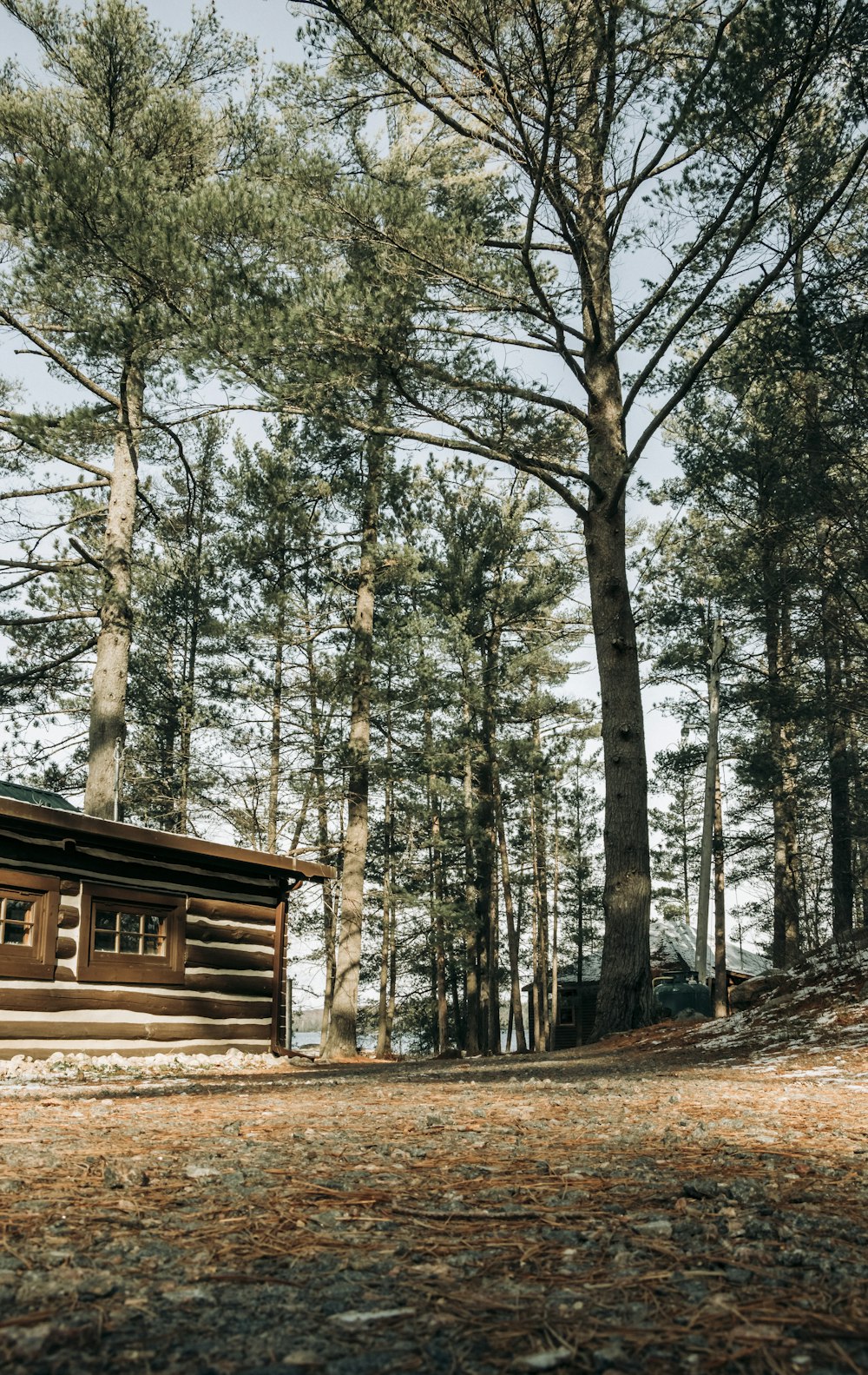 a log cabin in the middle of a forest